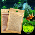 Aquarium Plant Seeds Aquatic